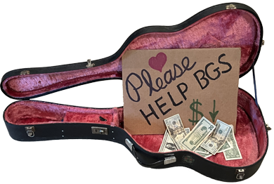 HelpBGS