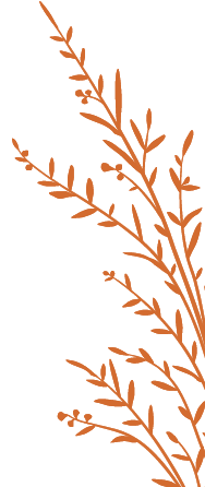 plant2